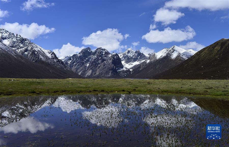 （新華全媒頭條·聚焦生物多樣性大會·圖文互動）（7）攜手同行，開啟人類高質(zhì)量發(fā)展新征程——習(xí)近平主席在《生物多樣性公約》第十五次締約方大會領(lǐng)導(dǎo)人峰會上的主旨講話解讀
